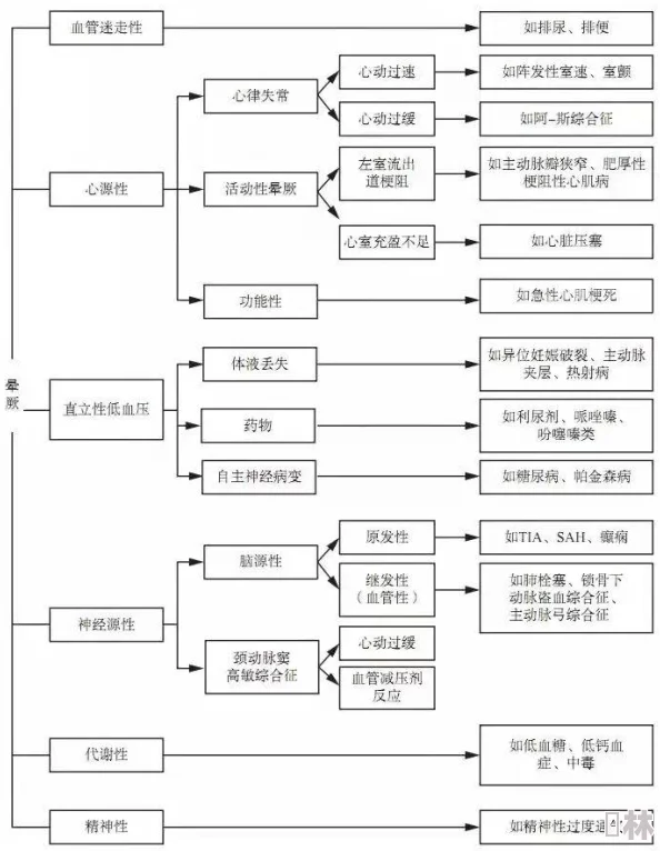 78成人网引发热议，用户激增背后隐藏的秘密与挑战令人震惊！