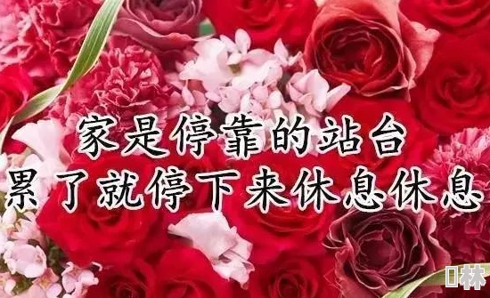 性趣新人王祝你生活美满幸福快乐