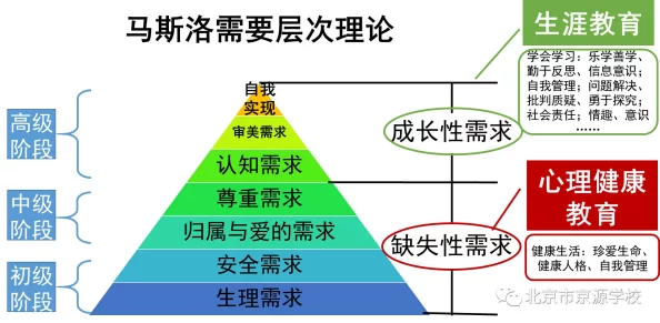 爱的作用揭秘爱情中的化学反应与心理效应，探讨爱对人生的深远影响