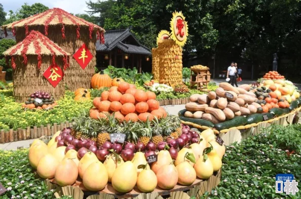 笑傲花都近日花都区举办了盛大的花卉展览，吸引了众多游客前来观赏和参与。