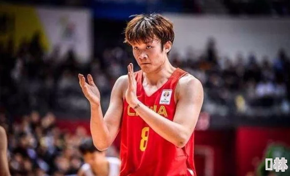 秋霞操11月15日NBA季中锦标赛独行侠vs鹈鹕团结拼搏追逐梦想共创辉煌