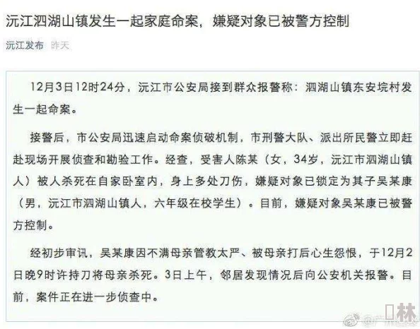 中国式家长指导：故乡情怀作文写法详解，掌握技巧助你轻松得高分！含惊喜加分秘诀