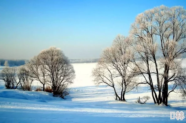 桃红色jl界进口主打初雪让人心旷神怡的冬日奇景