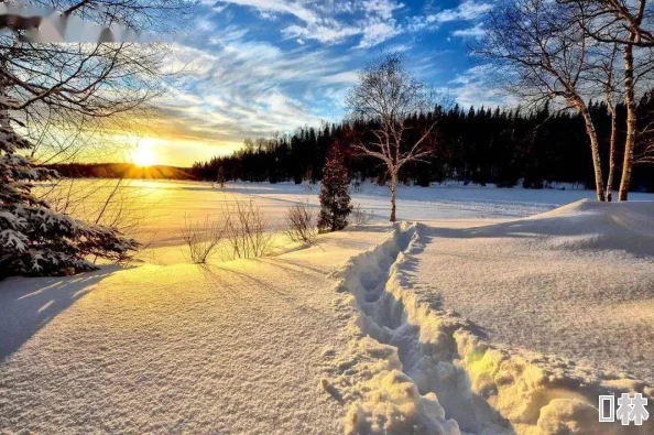 桃红色jl界进口主打初雪让人心旷神怡的冬日奇景