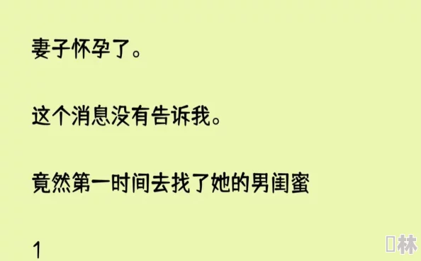 高HNP共妻小说妻子怀孕了不知道孩子是谁的