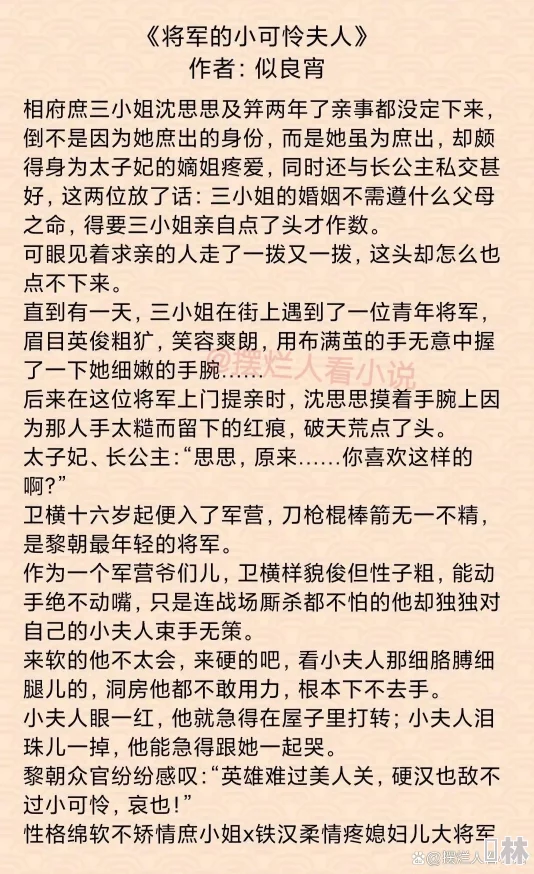 将军娇乳h1v1缠绵悱恻的夜晚过后，两人关系更进一步