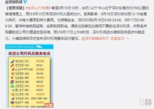 黄片线路一线路二在线看访问受限维护中预计24小时内恢复