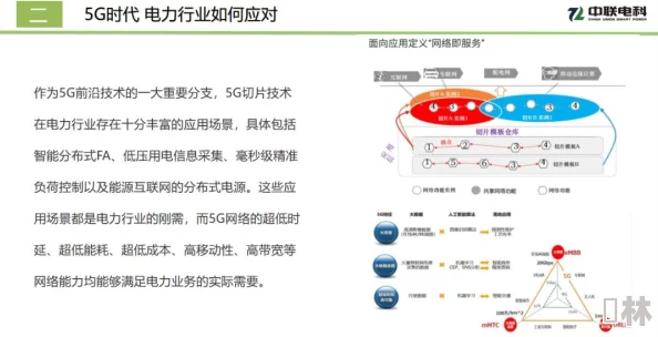 91精品国产免费久久久久久高清资源持续更新每日精彩不断