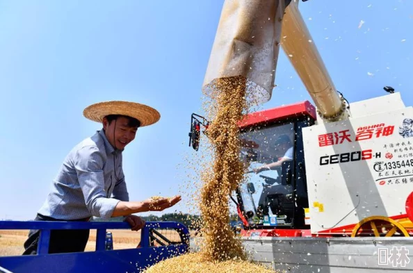 t66t66t逹葢薾旗帜技术平台功能测试完成开始进行用户体验优化