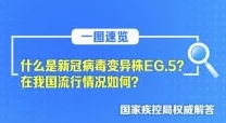 日韩精品在线一区最新高清资源已更新欢迎观看