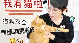 丝袜老师里面好紧水好多猫狗大战2：珍珠猫复仇勇敢追梦携手共进创造美好未来