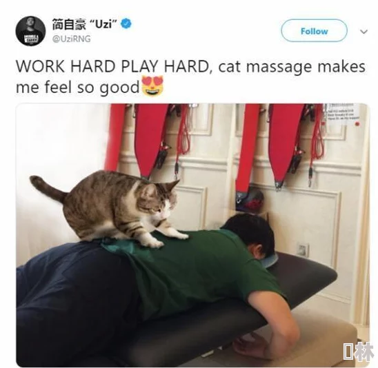 丝袜老师里面好紧水好多猫狗大战2：珍珠猫复仇勇敢追梦携手共进创造美好未来