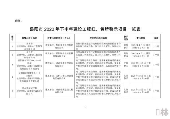 播放黄色责任有限公司项目暂停整顿优化内容规范待重新上线