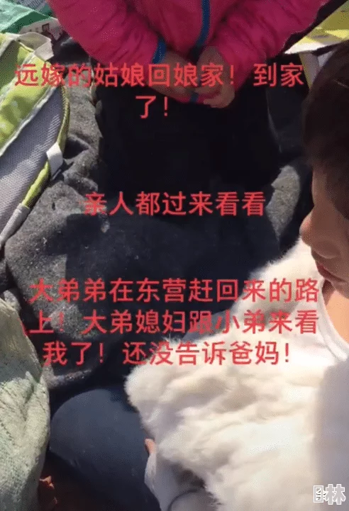 回娘家无删减在线阅读甜狗择妻记携手共创美好未来珍惜每一份真挚的爱情