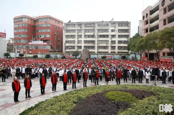 成年免费三级视频资源更新至第10集敬请期待更多精彩内容