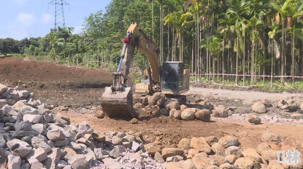 户外插bbbbb项目场地平整完毕并开始搭建基础设施预计下周进行设备安装