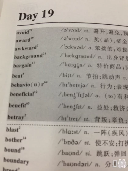 坐在学霸的鸡上背单词双楠作文学习进度已过半，词汇量突破三千，写作技巧稳步提升