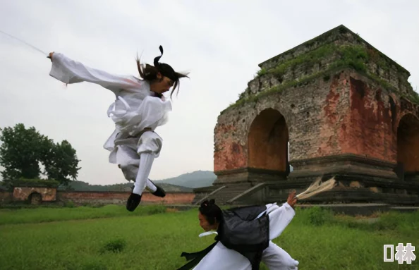 古典武侠校园春色主角练成绝世轻功偶遇校花开启甜蜜修炼之旅