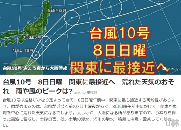 在线观看日本一区高清资源持续更新中