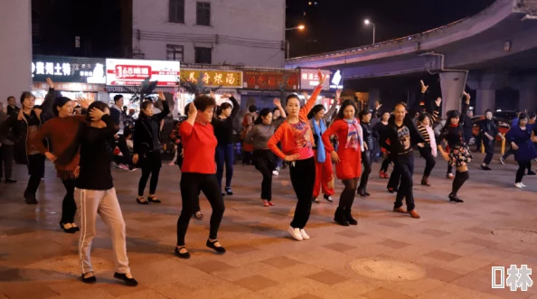 卫老和淑荣两人最近学习了新的广场舞准备参加社区比赛