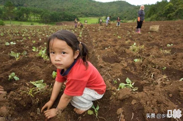 一小时人生种田技巧大揭秘：巧妙运用陶碗，惊喜发现产量翻倍秘诀！