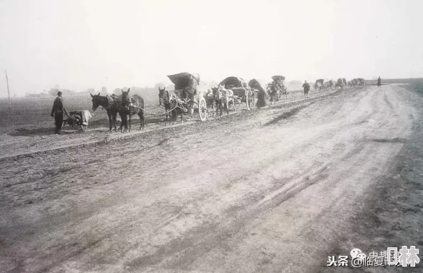 剑侠世界2手游：揭秘荒漠商队奇遇完美攻略，惊喜触发过荒漠行商的隐藏彩蛋技巧！