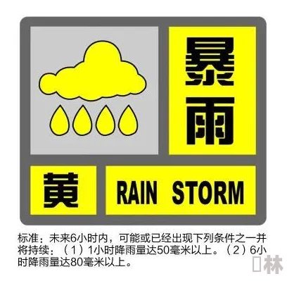 三级4级全黄资源更新至第8集持续维护中