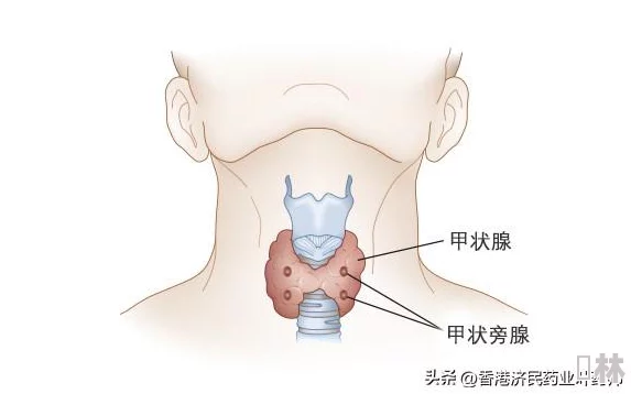 2024钙Ggy为啥没有了官方暂无回应相关讨论仍在继续