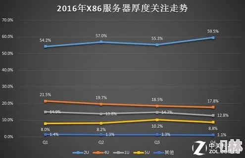 国产www网友称服务器卡顿需优化