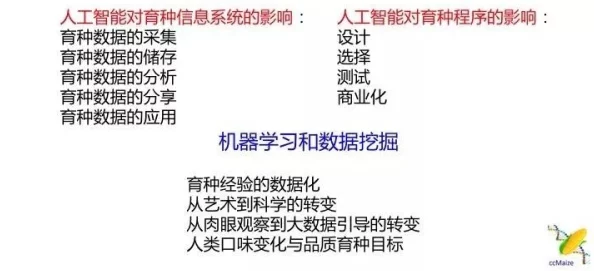 jiizzzz反常生活中的每一次挑战都是成长的机会，勇敢面对才能迎来美好未来