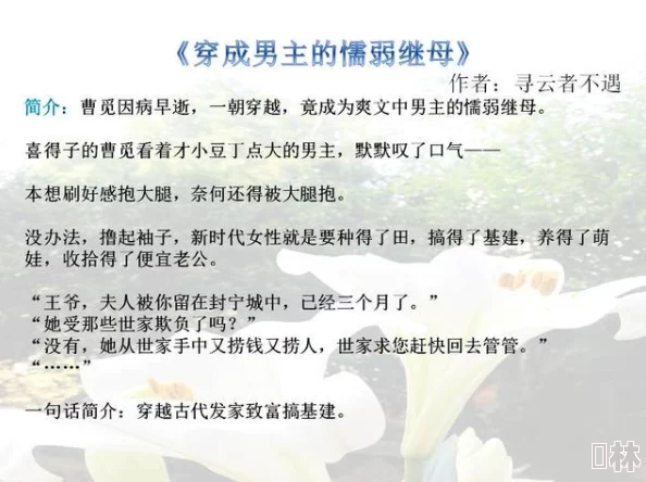 都市美艳后宫txt听说作者其实是位理工男码农而且还是单身狗母胎solo至今