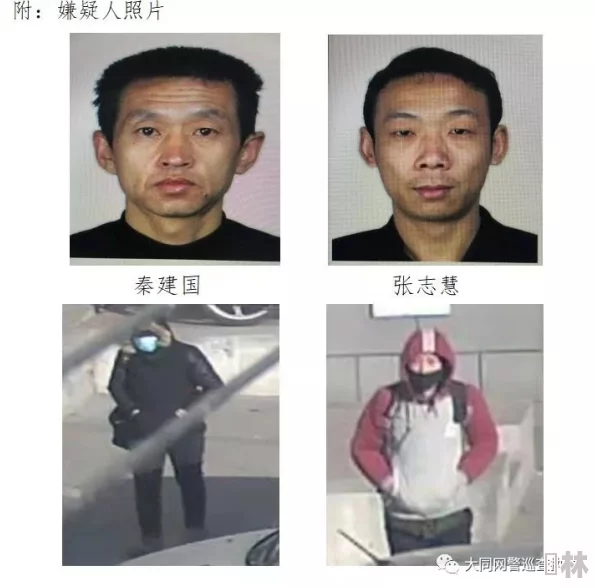 张敏美红挪用公款潜逃海外警方悬赏百万缉拿