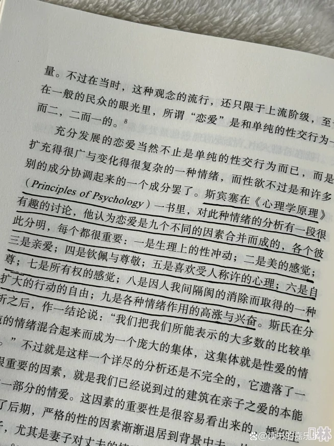 黄片小说展现人性和情感的复杂性，引导读者思考爱与责任的真谛