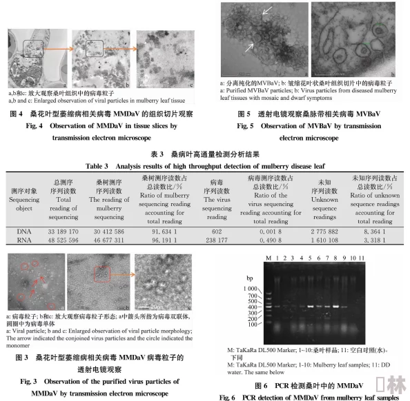 柞精病楝7原标题为《柞蚕精细化病理学研究报告第七版》现已泄露需警惕网络传播