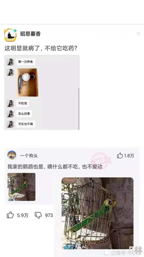 女人脱了奶罩给男人看视频曝光不雅视频传播引发网友强烈谴责