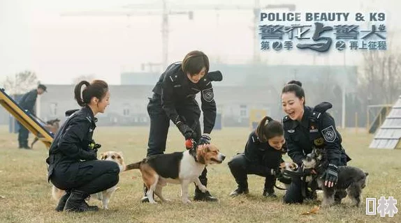 警花与警犬之再上征程剧情拖沓感情戏过多主角光环严重