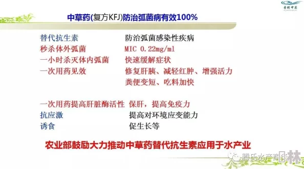 独家爆料：最新silent breath产品购买渠道全揭秘及限时优惠活动一览