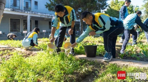 过节半截白菜物资匮乏年代的缩影反映了当时人们勤俭节约的生活智慧