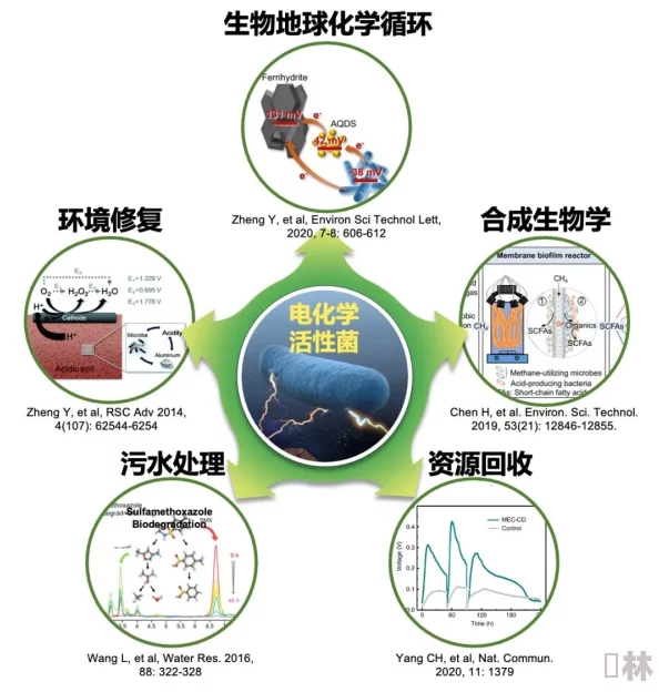 独家爆料：最新科研突破，揭示Raft污泥在环保与资源回收领域的多重革命性应用价值