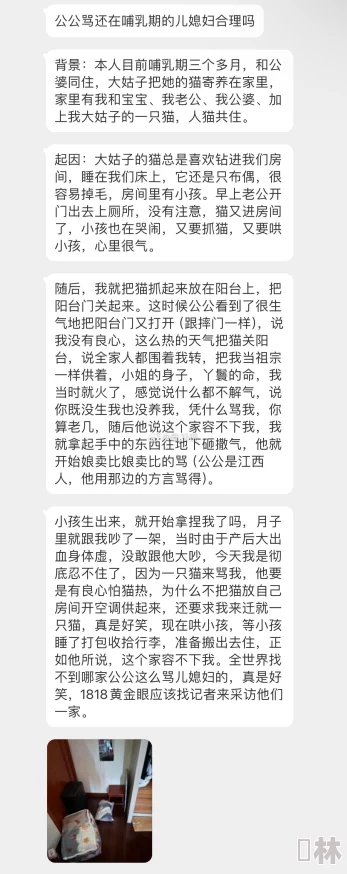 翁熄系列乱吃奶小玲展现家庭伦理困境和女性欲望探索的网络小说