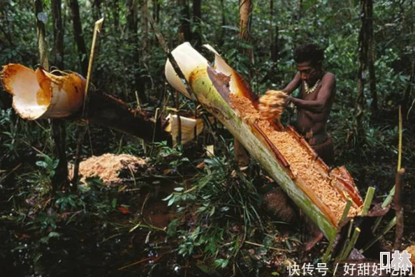 迷失丛林探索之旅变噩梦食人族出没毒虫肆虐九死一生