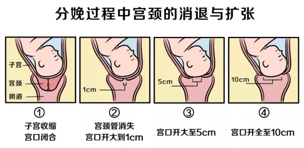 三洞齐插好深到子宫了扩张到极限感觉子宫被撑满了