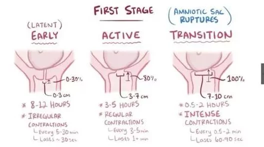 三洞齐插好深到子宫了扩张到极限感觉子宫被撑满了