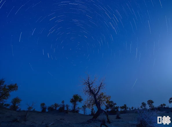 星空下的上海地标新探：2025最新动态与绝美观赏地点揭秘