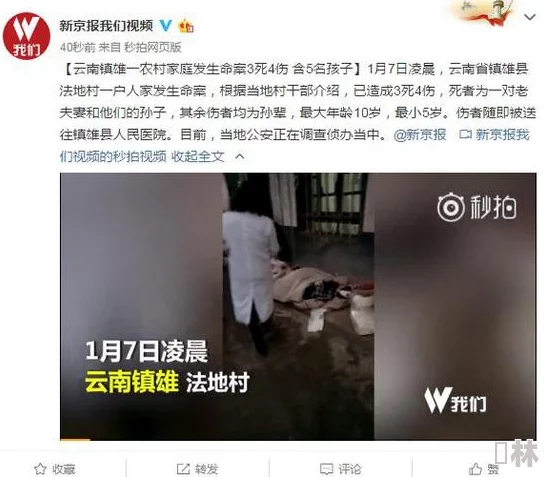 沟厕偷窥中文网友评论：变态行为，令人不齿，应该受到法律的严惩