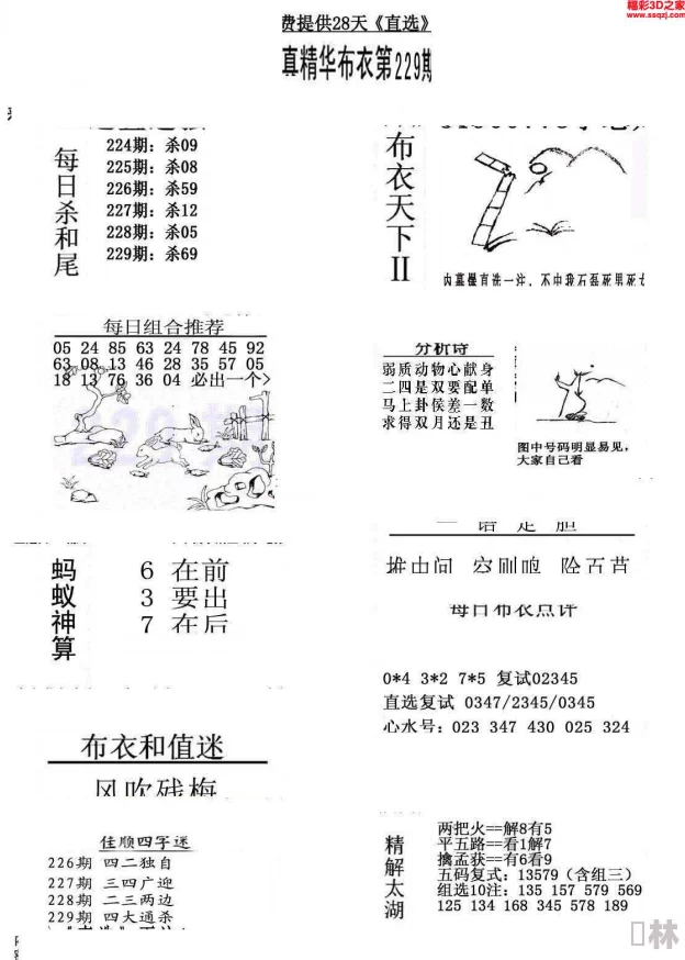 3d最新正版布衣图网友称赞清晰易懂，分析到位，期待明日预测