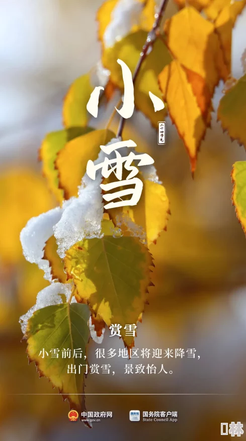 小雪的性荡生活全目录下载资源搜索与在线观看指南存在风险请谨慎辨别