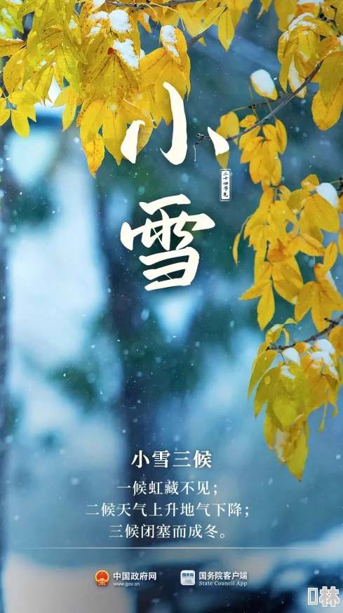 小雪的性荡生活全目录下载资源搜索与在线观看指南存在风险请谨慎辨别