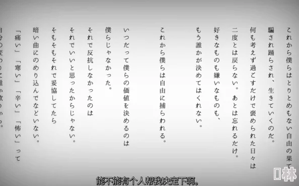 日本精品中文字幕有码虚假宣传低俗内容欺骗消费者请勿传播