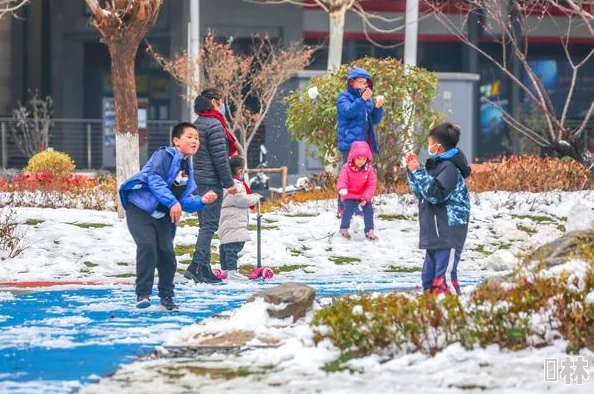 那两团雪球在他的手里总裁网友曝光总裁玩雪照片引发热议